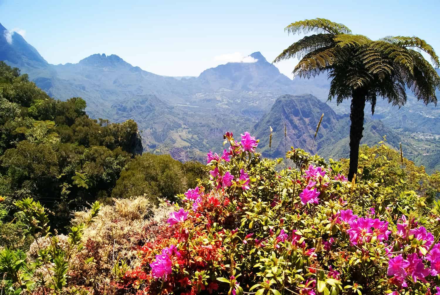 Quelles démarches pour votre déménagement à La Réunion ?